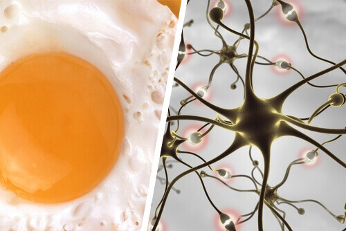 Livsmedel och råd som förbättrar minnet