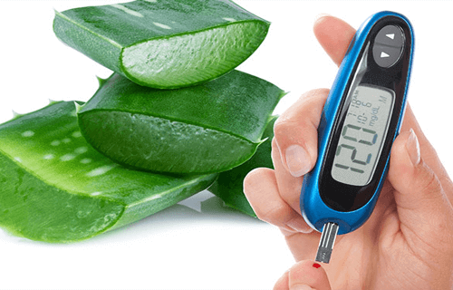 Aloe vera mot diabetes – 7 anledningar