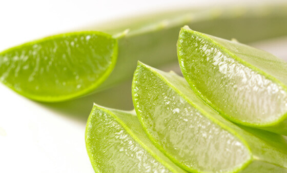 Aloe