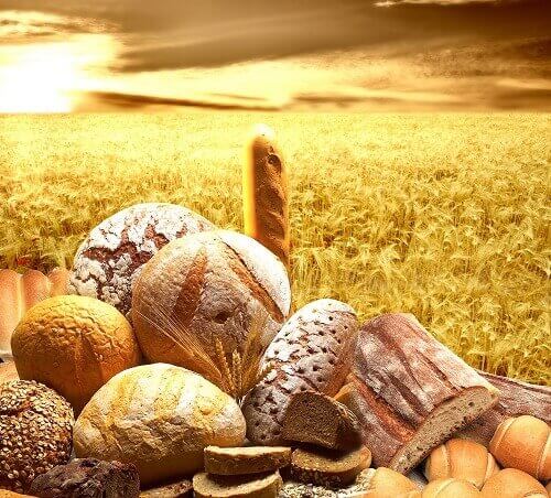 Bröd och spannmål