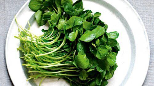 vattenkrasse på fat