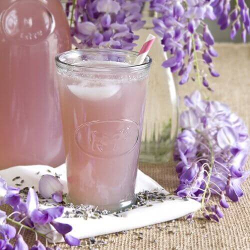 Lavendel och salvia