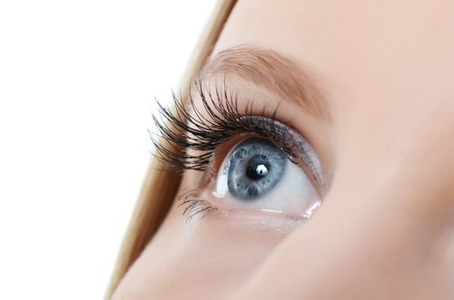 alopeci i ögonbryn och ögonfransar