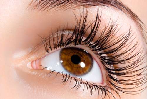 alopeci i ögonbryn och ögonfransar