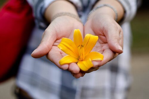 gul blomma i öppna händer