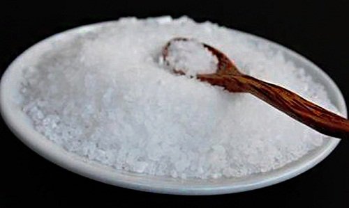 aktiv och hälsosam hjärna