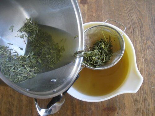 Rosmarin och hästkastanj för att behandla ledvärk