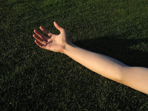 Arm på gräs