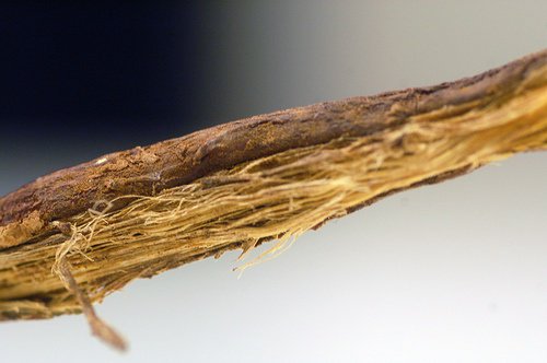 Lakrits för att behandla psoriasis