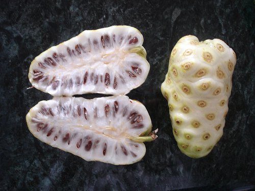 Noni är en frukt