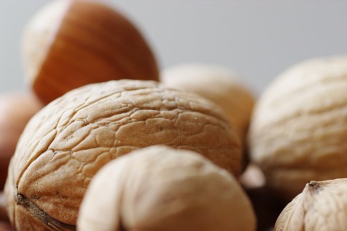 Nötter innehåller protein