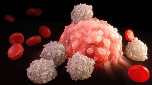 Raffinerat socker - ett cancerframkallande livsmedel