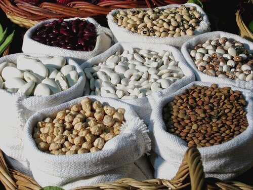 Vegetabiliskt protein