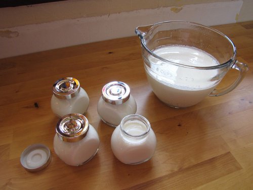 Drick en smoothie med yoghurt och vetegroddar