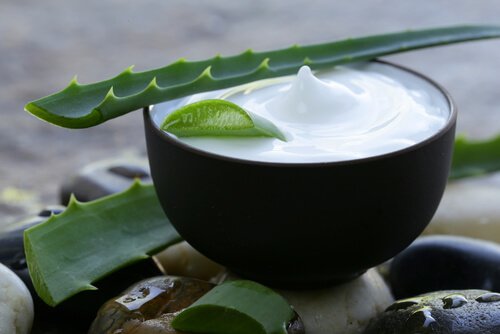 sheasmör och aloe vera