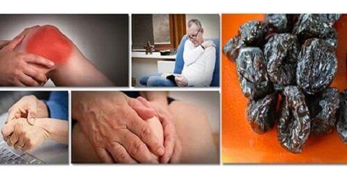 Katrinplommon kan förebygga förlust av benmassa