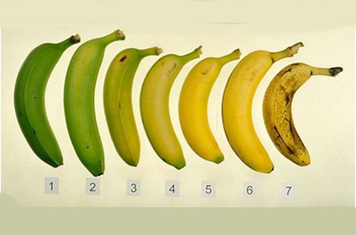 Gula eller gröna bananer - vilket är nyttigare?