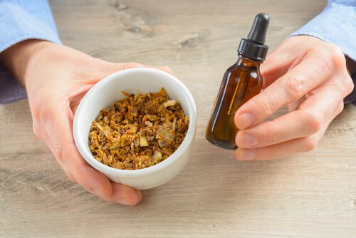 Ta echinacea för att stärka immunförsvaret