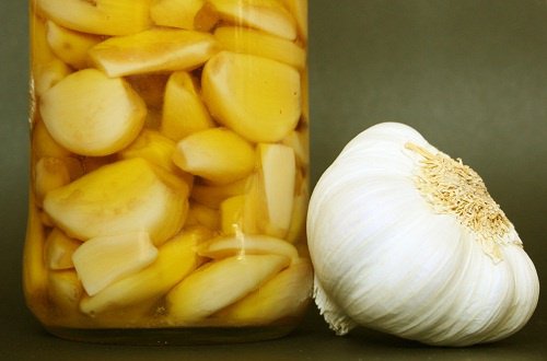 Vitlök