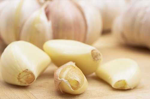 vitlök