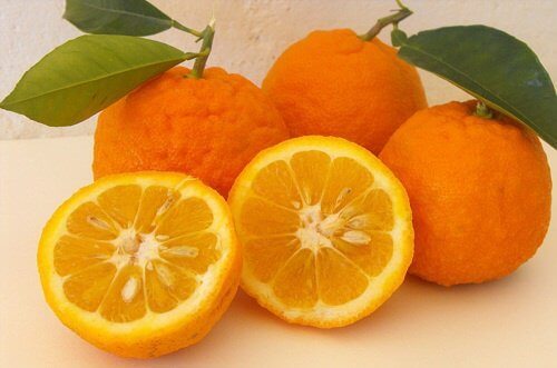 Apelsindieten för viktnedgång och hälsa