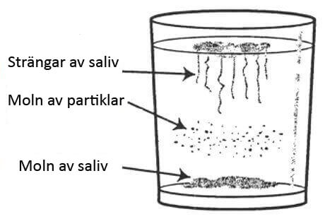 Hemtest för candida och hur du gör dig av med den