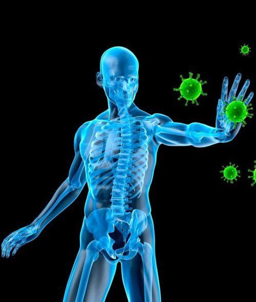 Immunologiska-sjukdomar