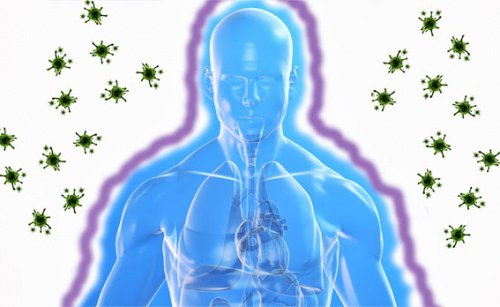 Immunförsvarets skyddar oss sjukdomar