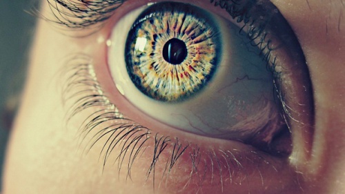 7 intressanta fakta om pupillerna - kände du till dem?