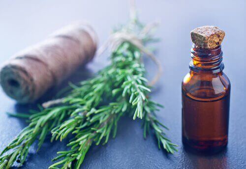 Rosmarin för att stoppa muskelkramper