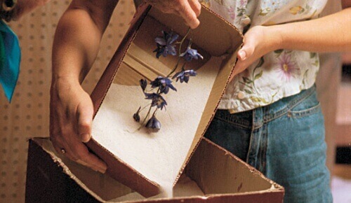 Torkade blommor