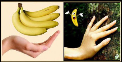 Bananer
