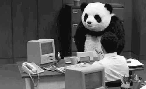 Irriterad panda