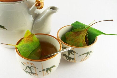 Ginkgo biloba