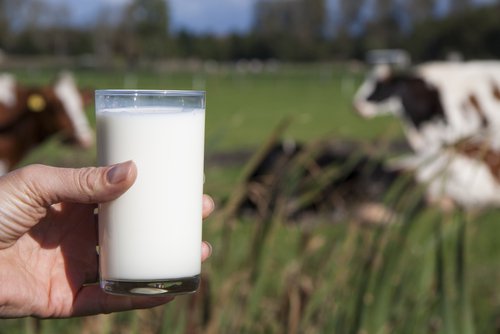 Komjölk i glas