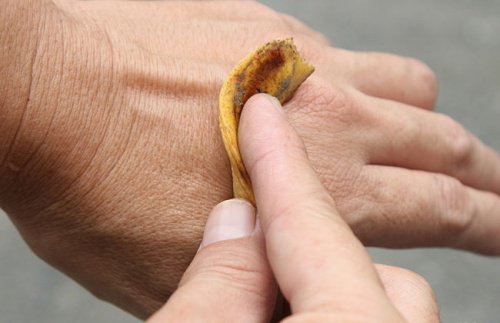 Fantastiska användningar för fruktskal