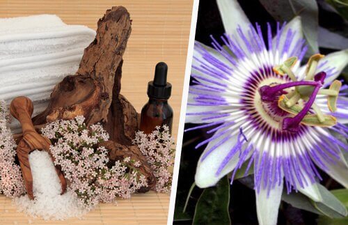 Många blommor besitter läkande krafter