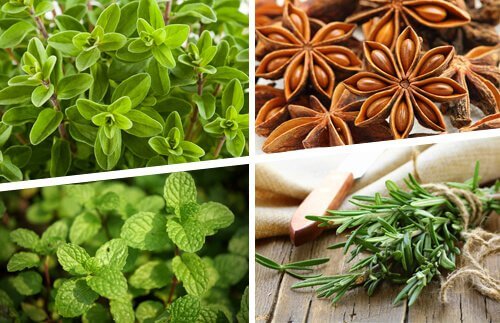 Örter är naturlig medicin