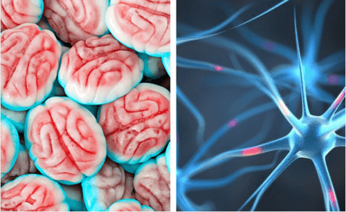 Hur hjärnan reagerar när du slutar äta socker