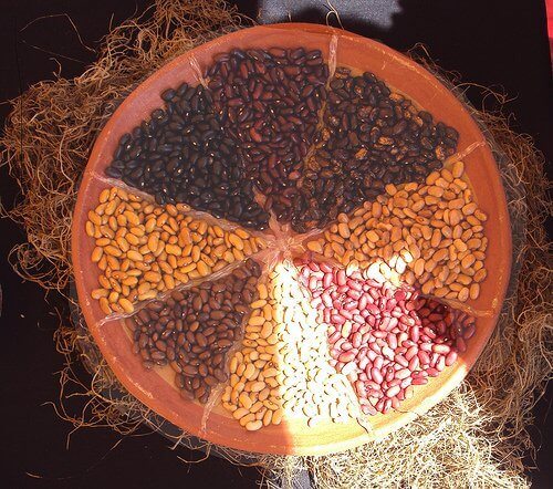 Koka bönor ordentligt innan du äter dem