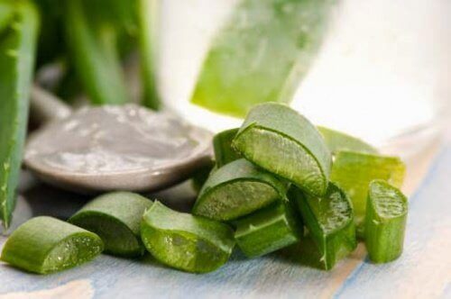 Aloe kan lindra klåda, inflammation och sveda