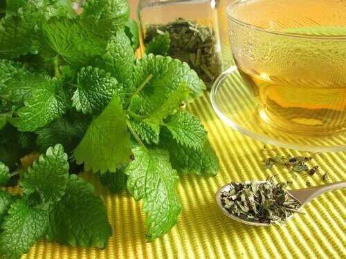 Citronmeliss