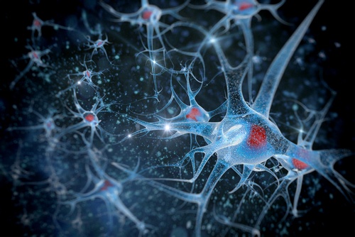 Neurodegenerativ sjukdom
