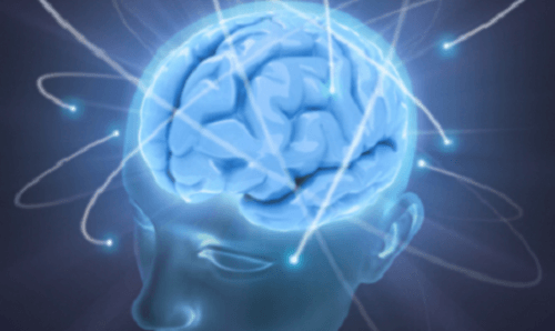 Hjärnan behöver vatten