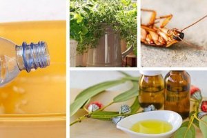 Håll insekter borta utan giftiga kemikalier