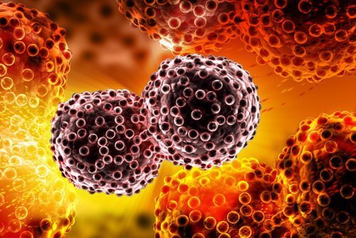 9 sätt att förhindra cancer, enligt experterna