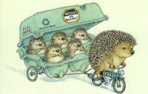 igelkott på cykel skjutsar sin familj i äggkartong