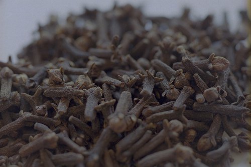 Vad kan man använda kryddnejlika till?