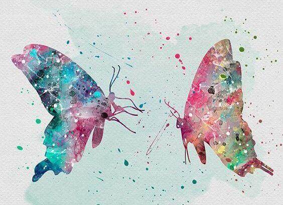 Färgglada fjärilar