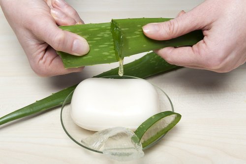 Tvål-med-aloe-vera